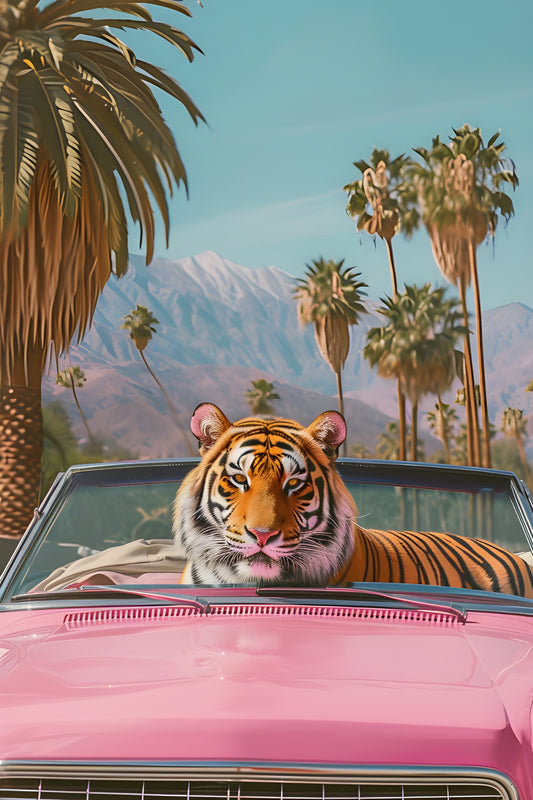 Print - California Tiger No 1